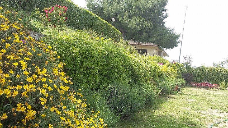 La Casa Di Stefania Pollutri Exterior foto